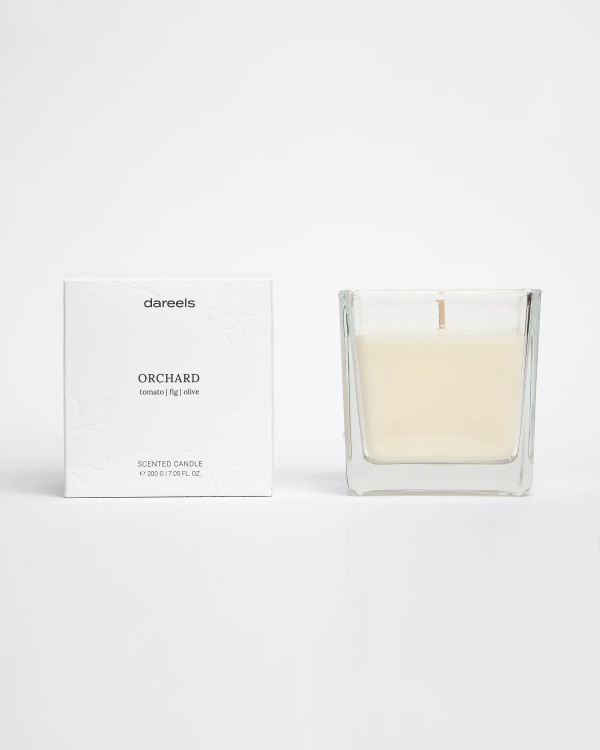 ORCHARD scented candle in...