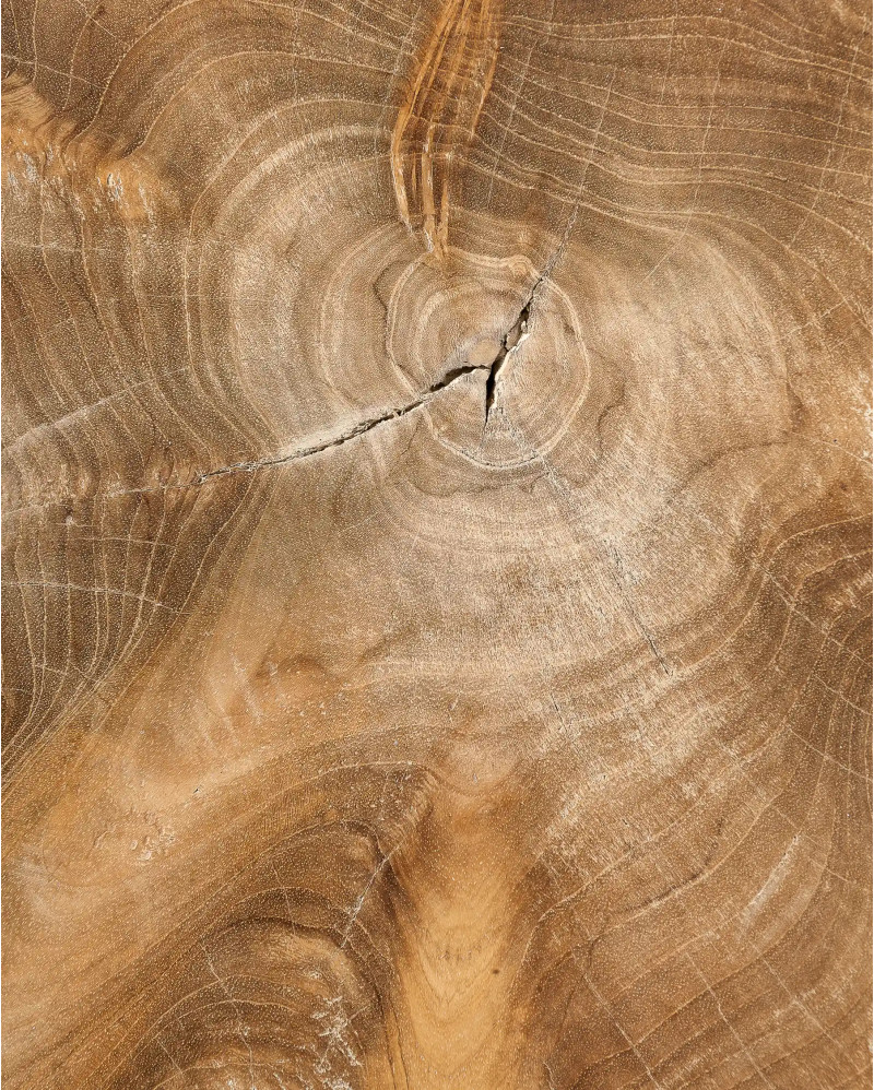 ERUPTA side table in teak root 50 x 50 x 50 cm